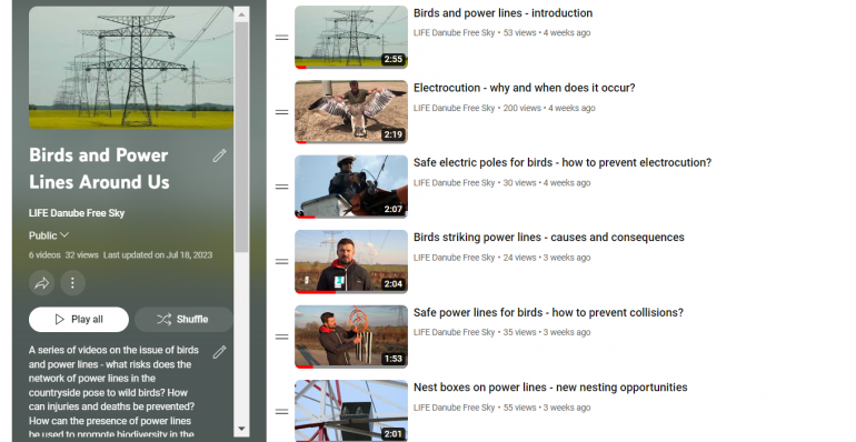 NEW VIDEO SERIES BIRDS AND POWER LINES AROUND US